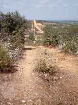 Otra vista del valle de Manzanal, en el lugar del sifn.